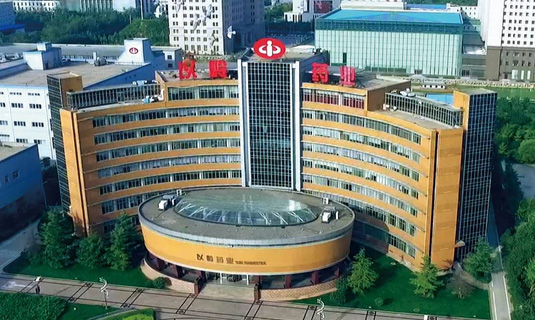 祝賀顆粒物過濾效率儀中標(biāo)石家莊以嶺藥業(yè)！